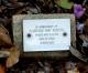 Burton, Florence May nee Orpin - Woronora