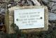 Muston, Elsie Gladys nee Ewin - Woronora