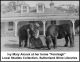 ALCOTT Ivy at Fernleigh with ponies.