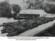 MATSON Audley boatshed ca. 1912