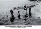 SALISBURY, Tom & children swimming
