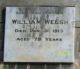 WELSH William 1913 Headstone Eugowra